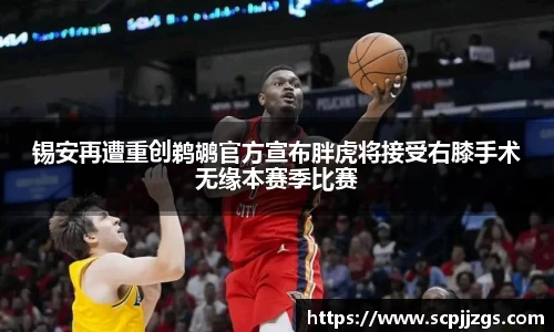 锡安再遭重创鹈鹕官方宣布胖虎将接受右膝手术无缘本赛季比赛